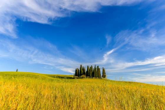 The Crete Senesi and Valdorcia: Pienza and Lunch at a Cheese Farm